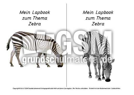 Titelseite-Zebra-2.pdf